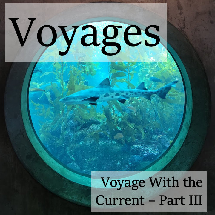 Voyage With the Current - Part III
