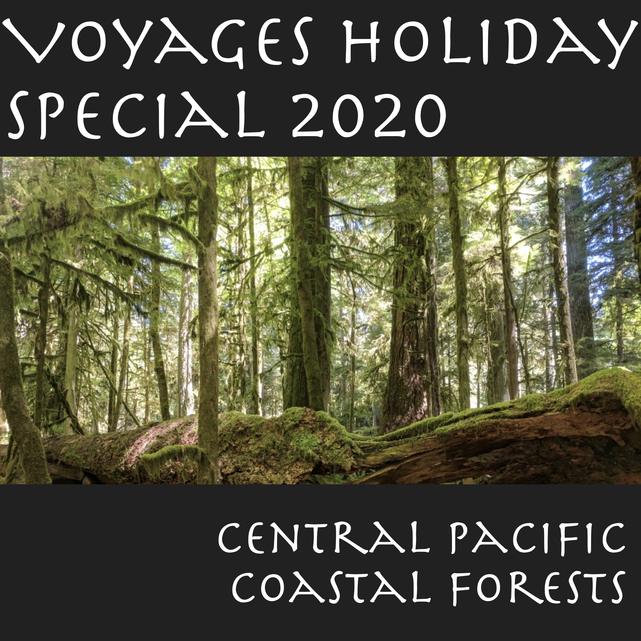 Central Pacific Coastal Forests - Holiday Special 2020