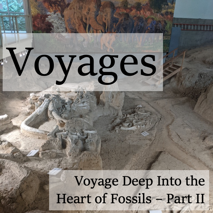 Voyage Deep Into the Hearts of Fossils - Part II