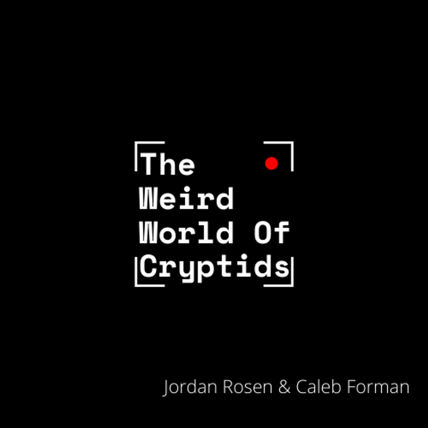 The Weird World of Cryptids