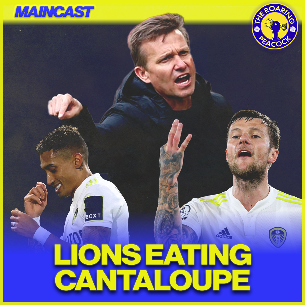 Lions mauling Cantaloupes | MC46