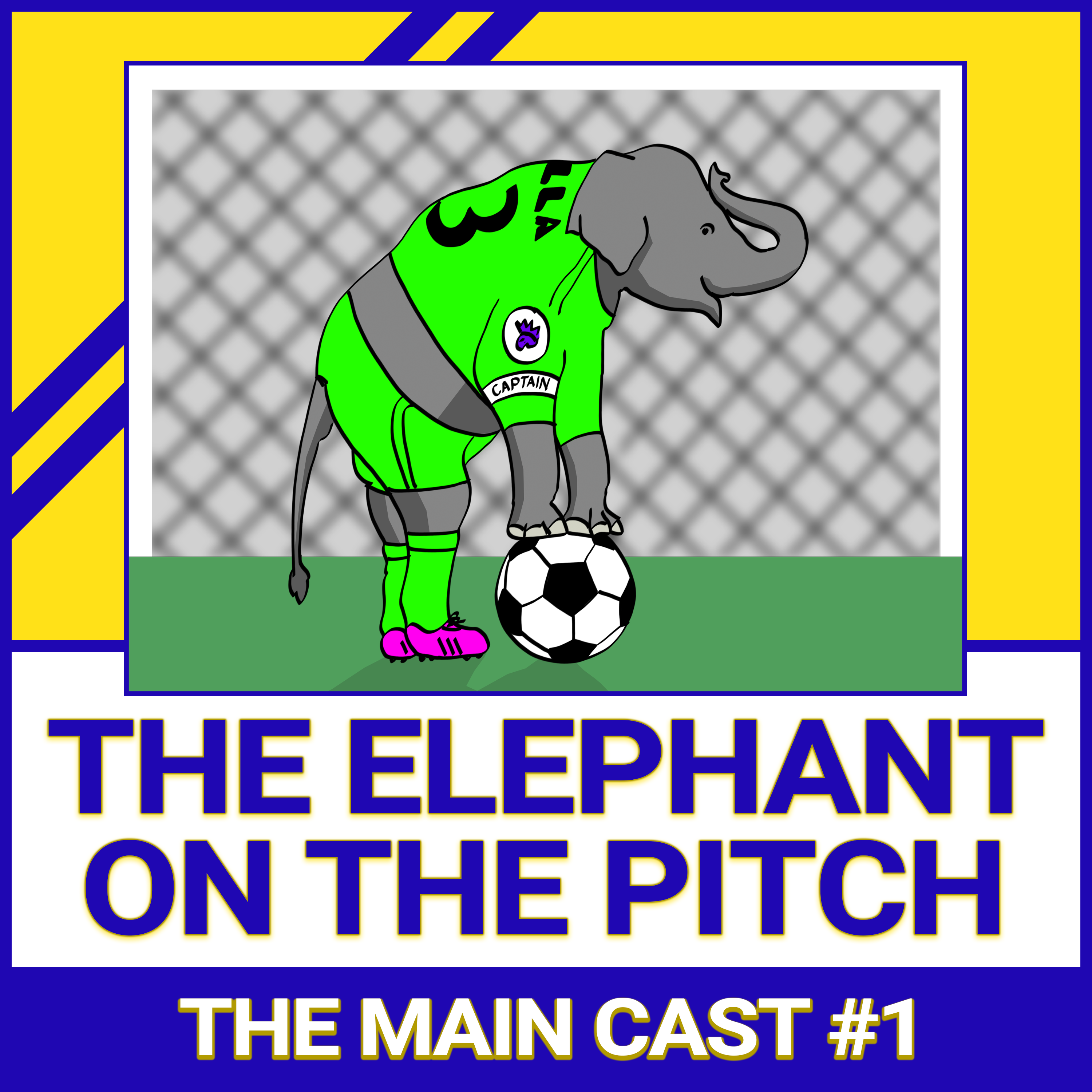 The Elephant on the Pitch | Main Cast #1