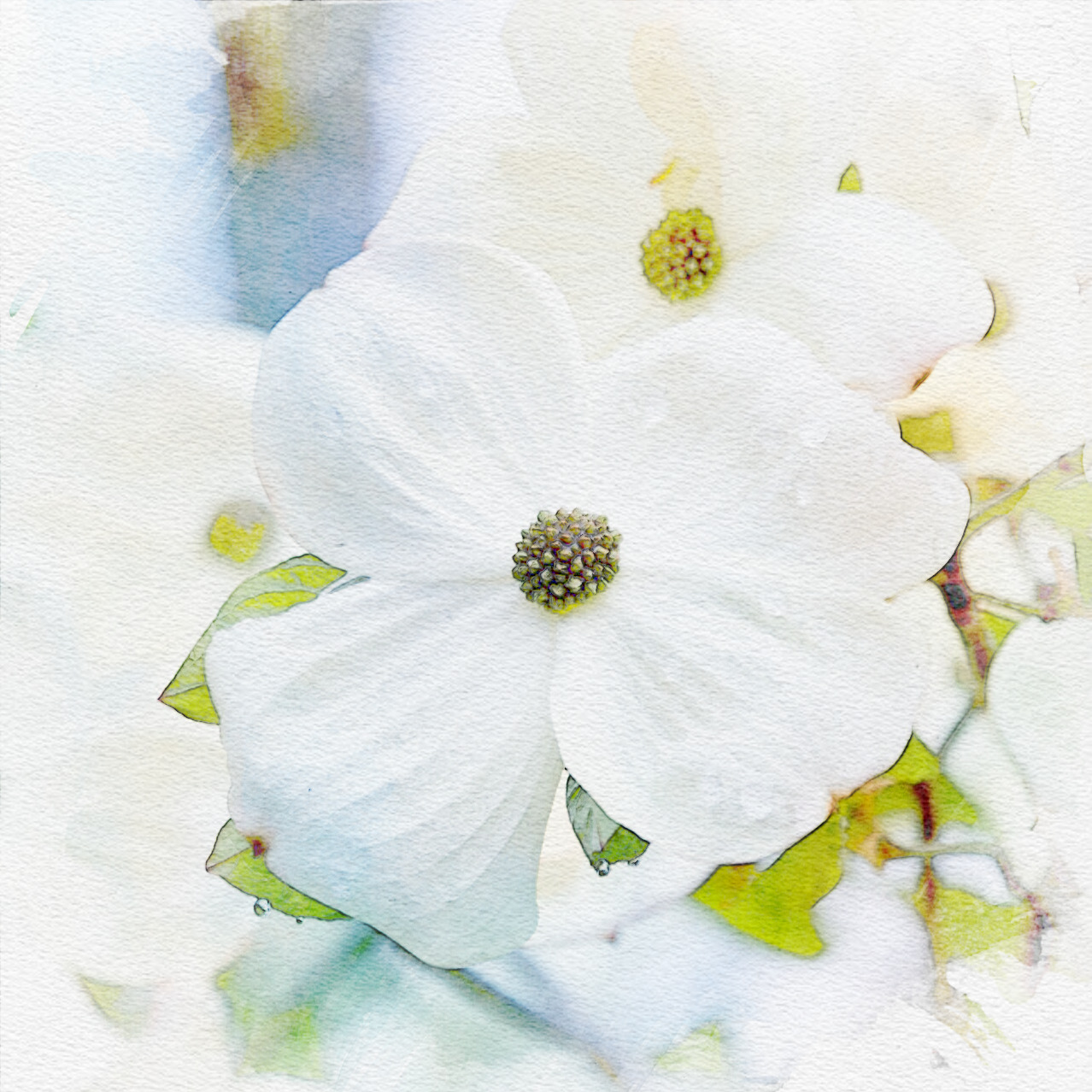 #73 - In the Land of Nod