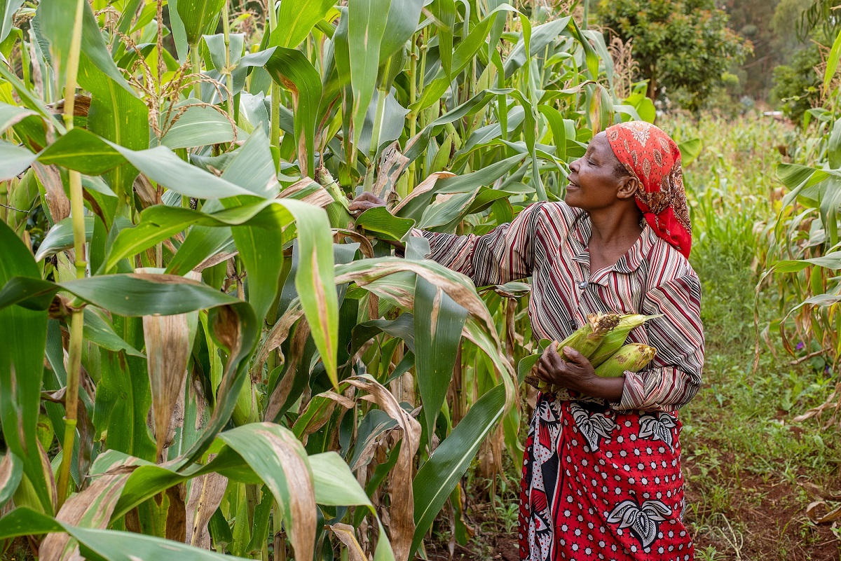 Apollo Agriculture: Helping small-scale farmers maximise profitability