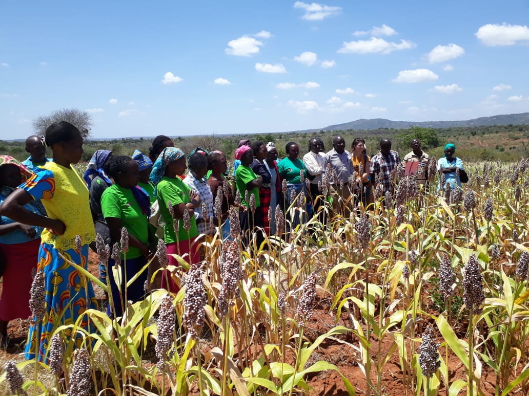 ITIKI: Simplified forecasts for small-scale African farmers