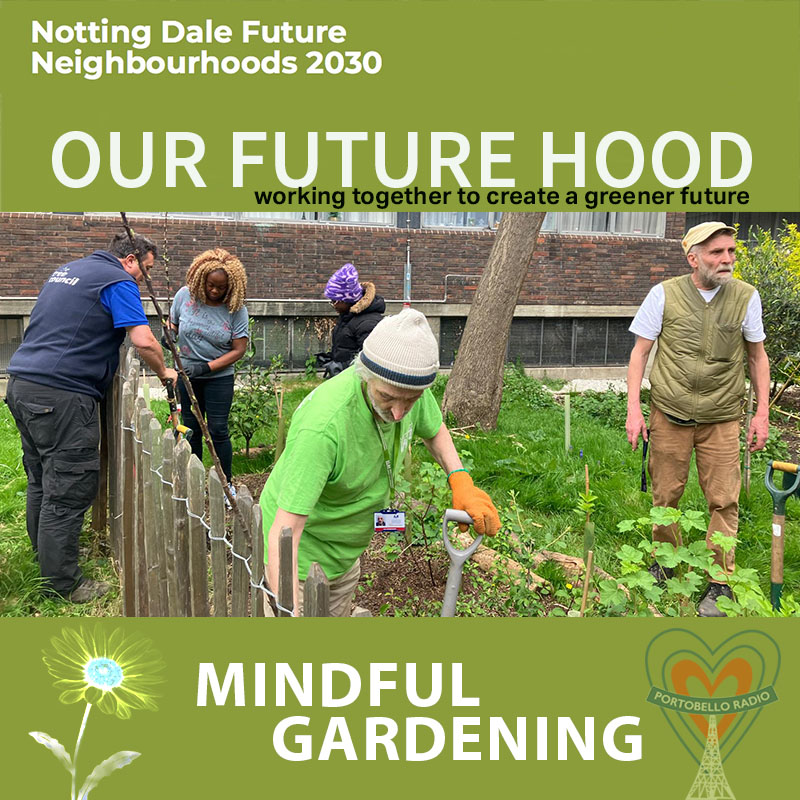 Mindful Gardening