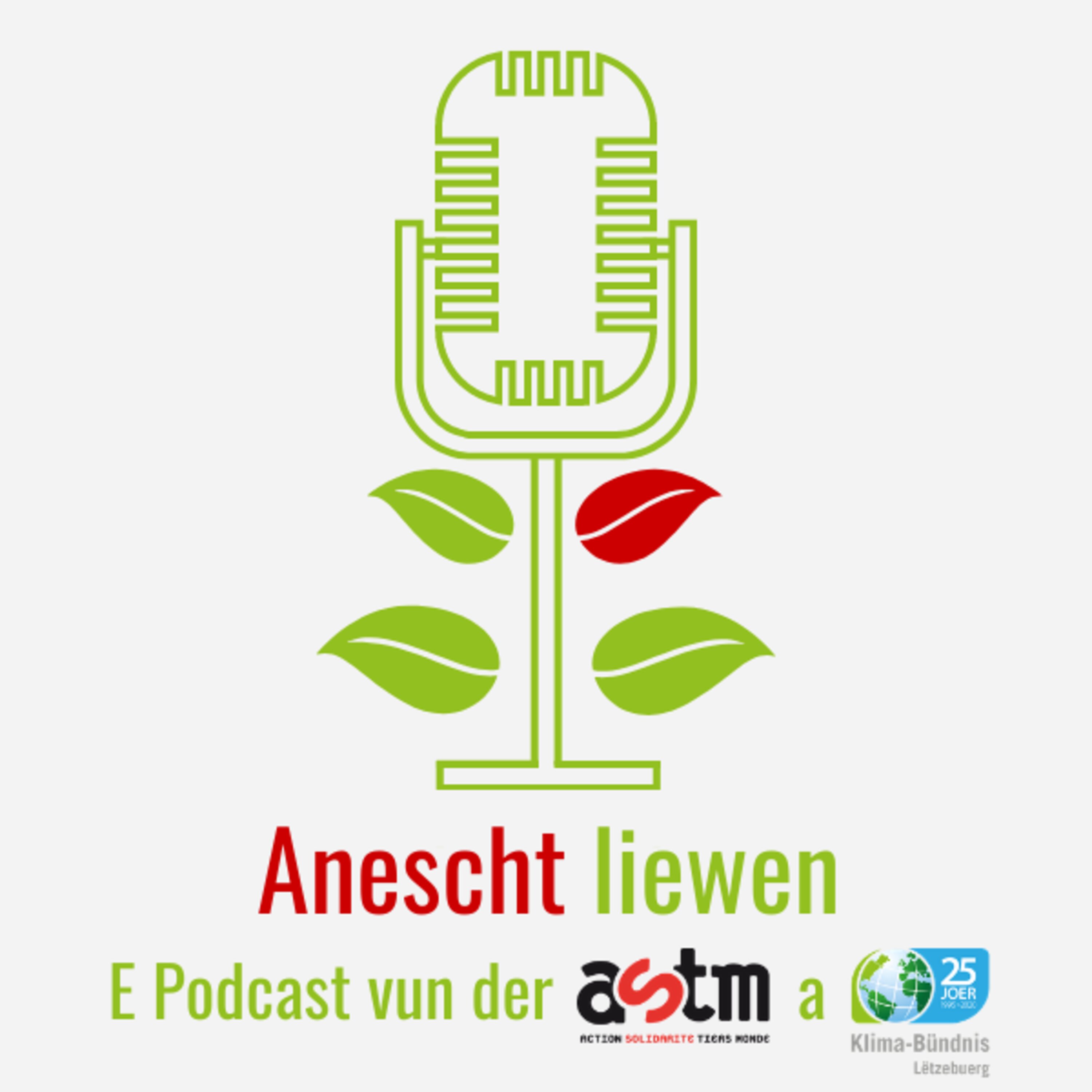 Trailer zu Anescht Liewen - Dem Podcast vun ASTM mam Cédric Reichel
