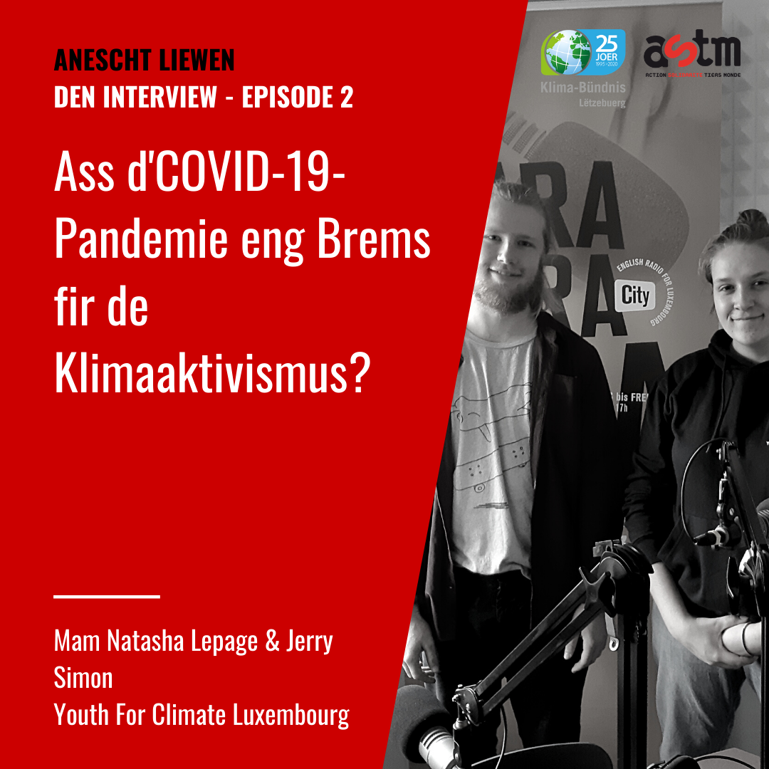 Youth for Climate - Ass d’Coronavirus-Pandemie eng Brems fir den Klimaaktivismus?