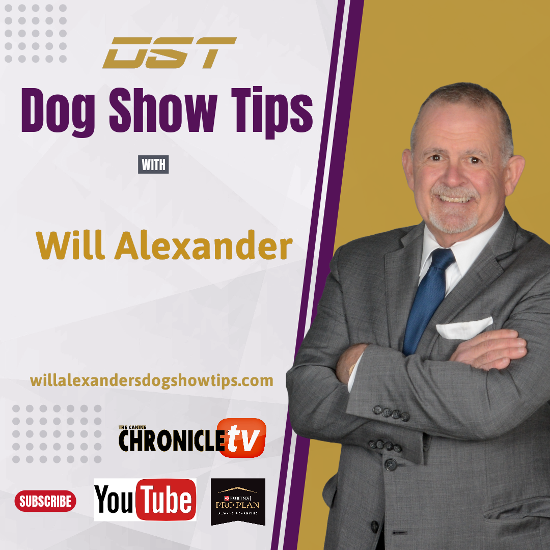 Dog Show Tips - Susan Fraser Interview with Will Alexander