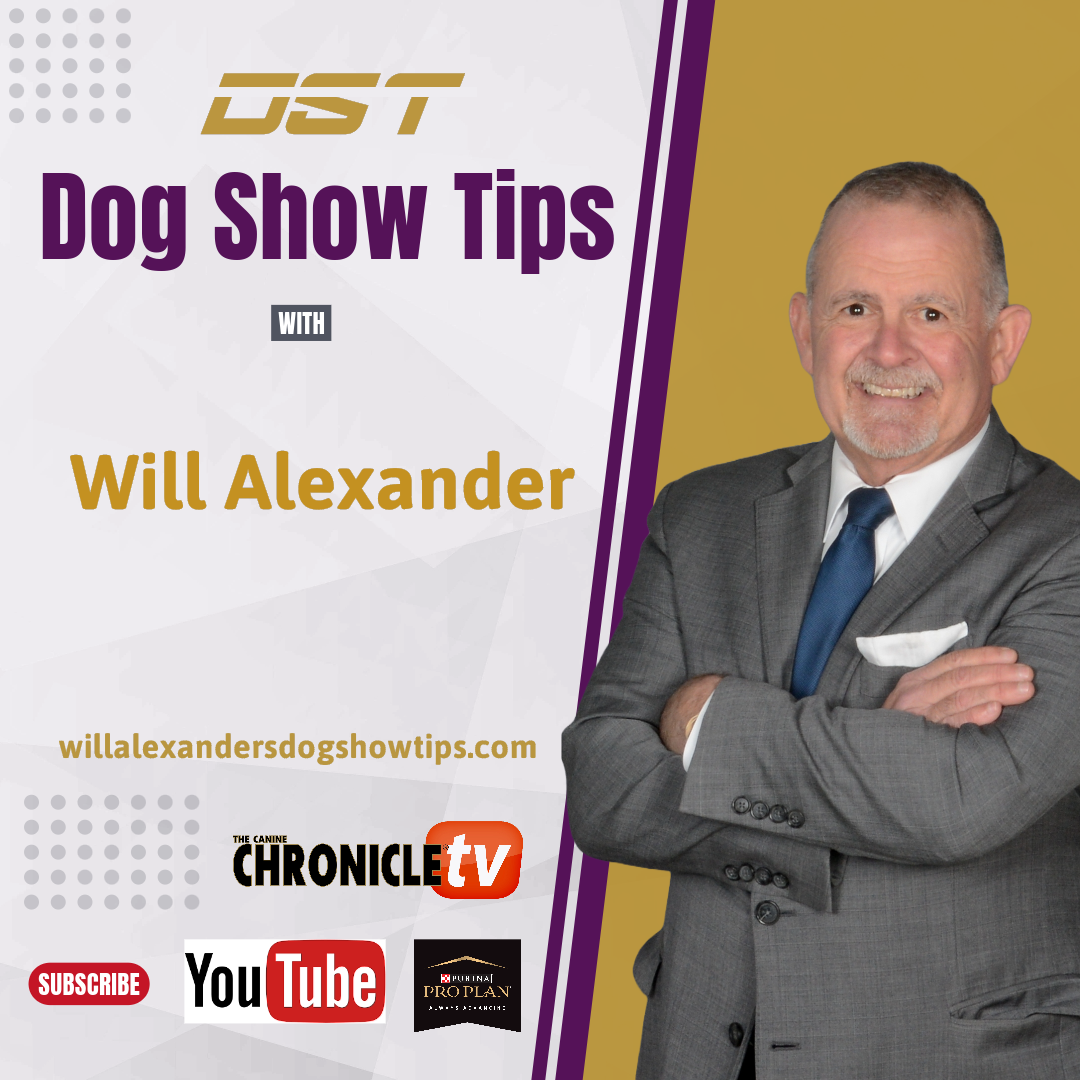 Dog Show Tips - Charlotte Patterson Interview with Will Alexander