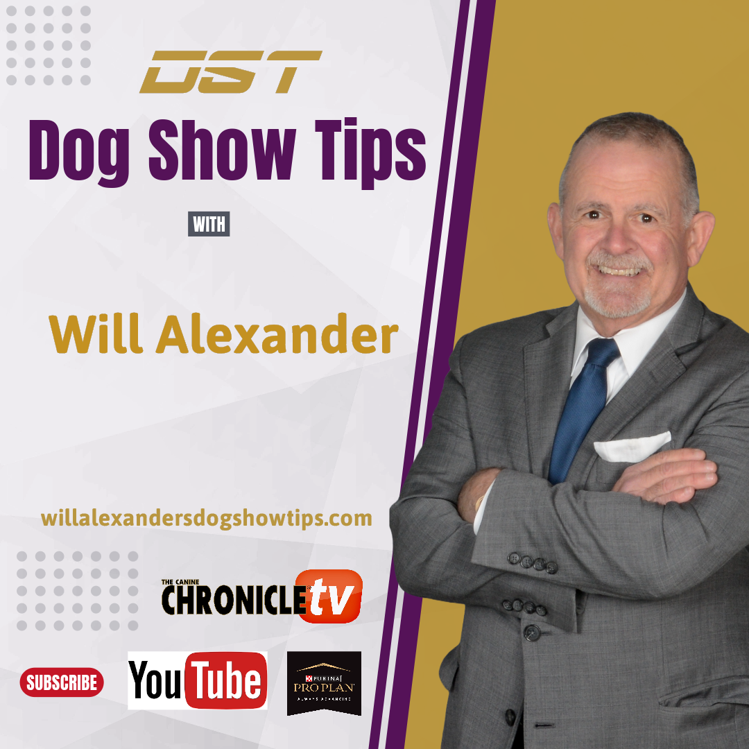 Dog Show Tips - Dominic Carota Interview with Will Alexander