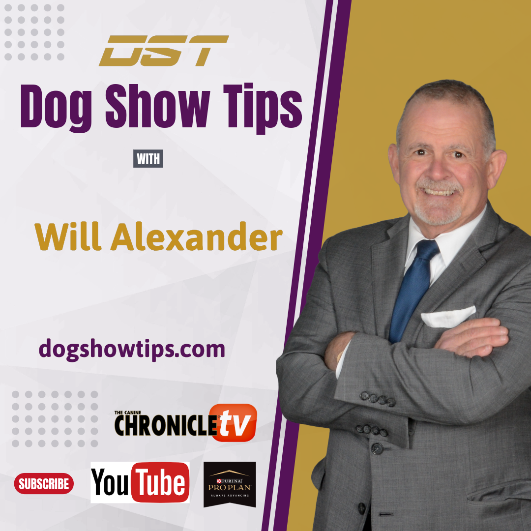 Dog Show Tips - Lydia Coleman Hutchinson  Interview with Will Alexander