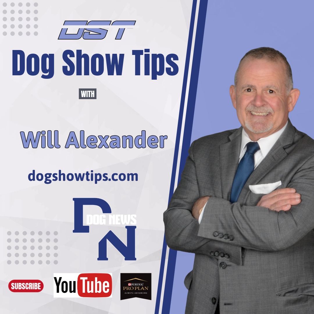Dog Show Tips - Steve Dainard Interview with Will Alexander