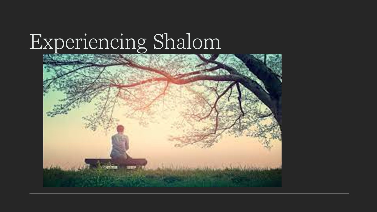 Episode 481: Experiencing Shalom