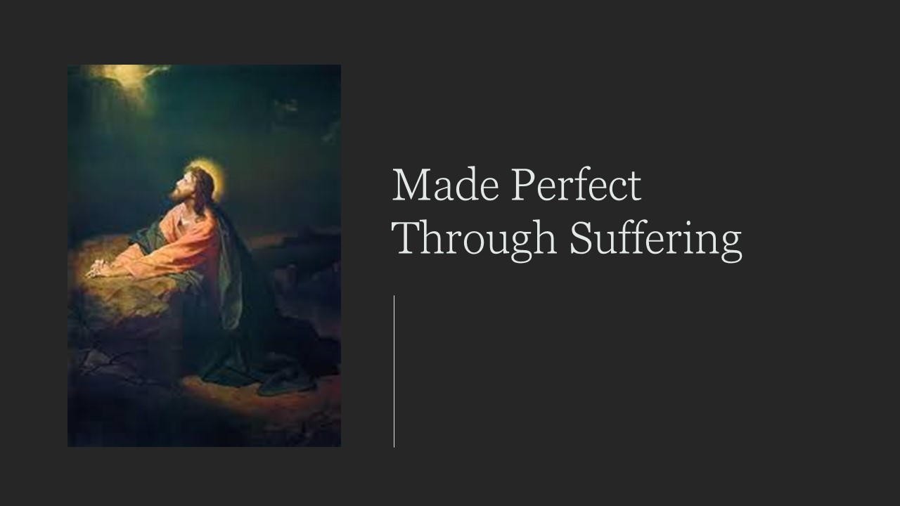 Episode 498: Made Perfect through Suffering