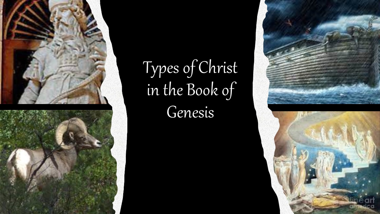 Episode 637: Types of Christ in the Book of Genesis