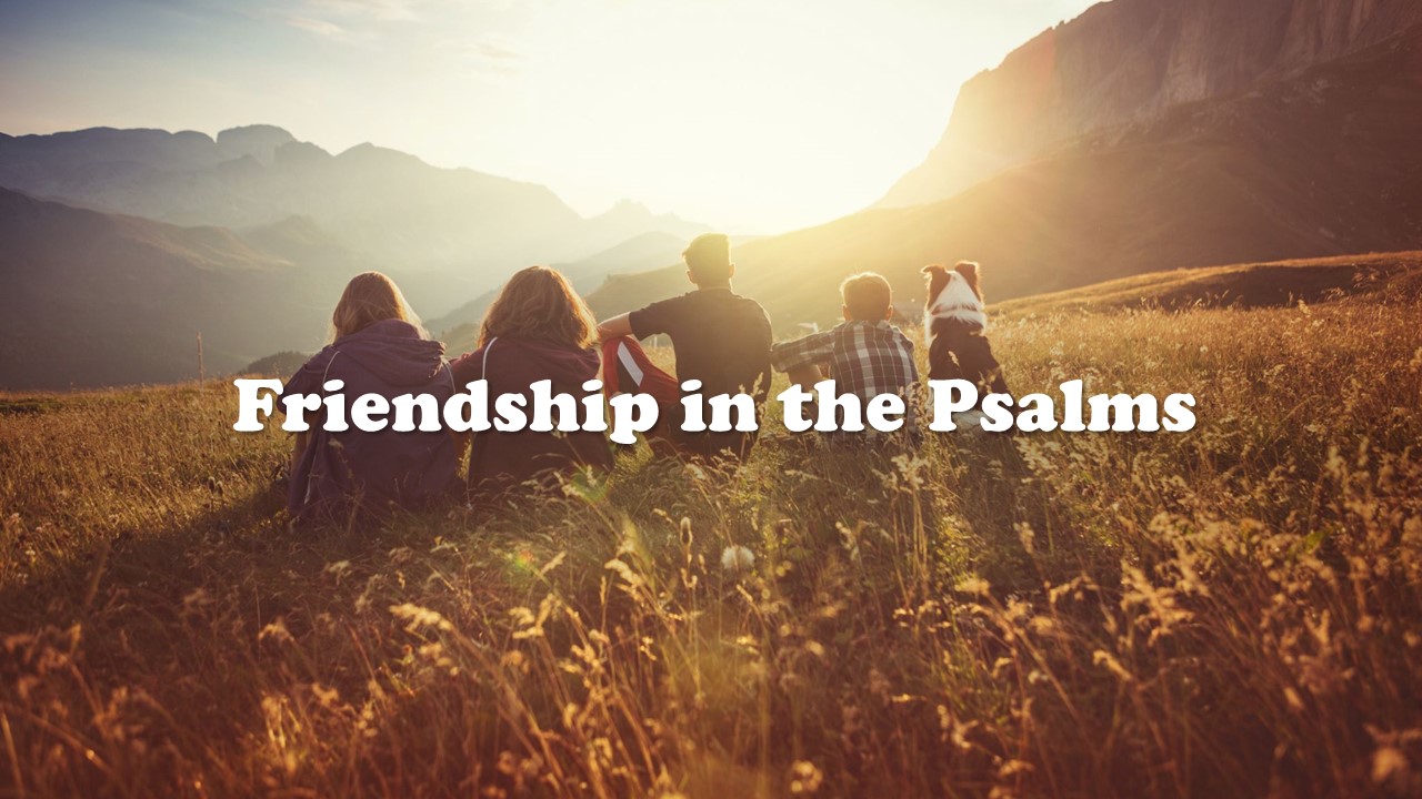 Episode 742: Friendship in the Psalms