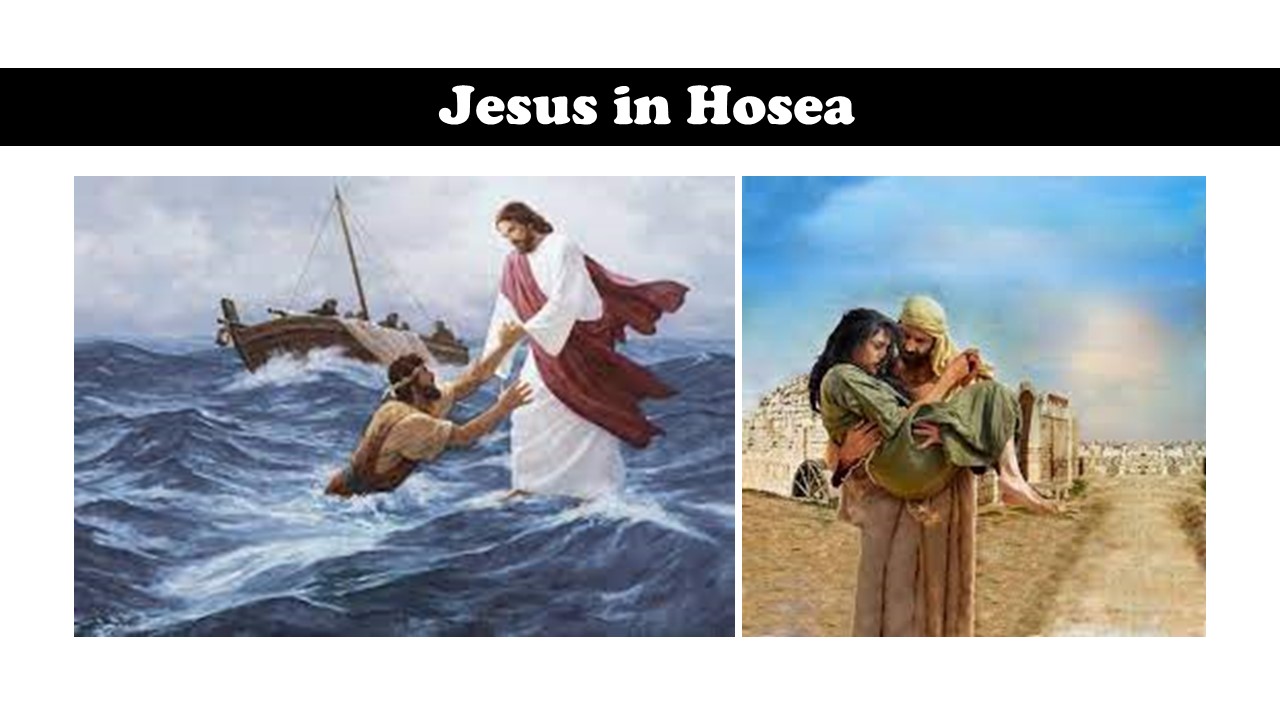 Episode 873: Jesus in Hosea