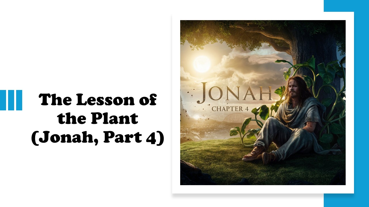 Episode 886: The Lesson of a Plant (Jonah, Part 4)