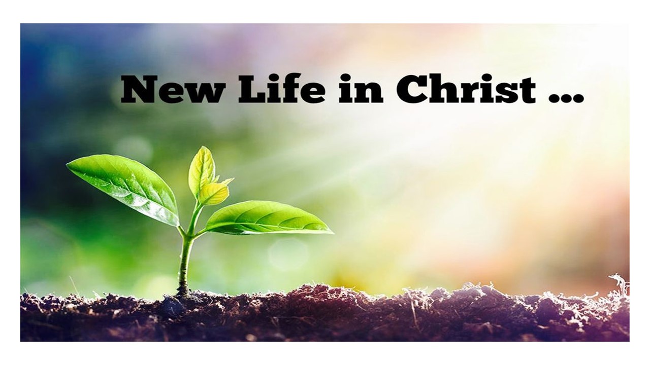 Episode 964: New Life in Christ