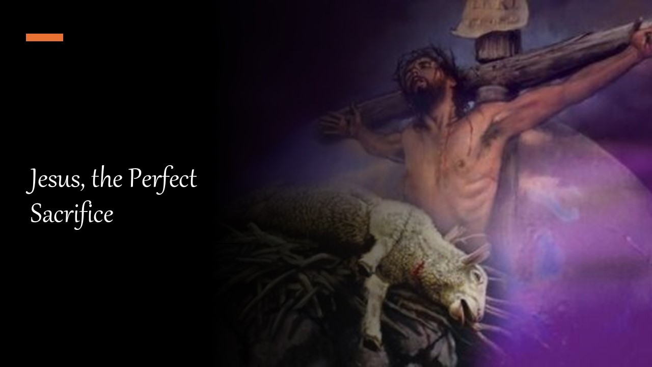 Episode 998: Jesus, the Perfect Sacrifice