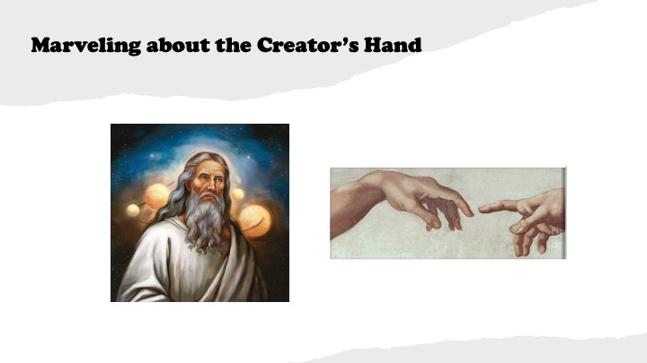 Episode 1070: Marveling at the Creator's Hand