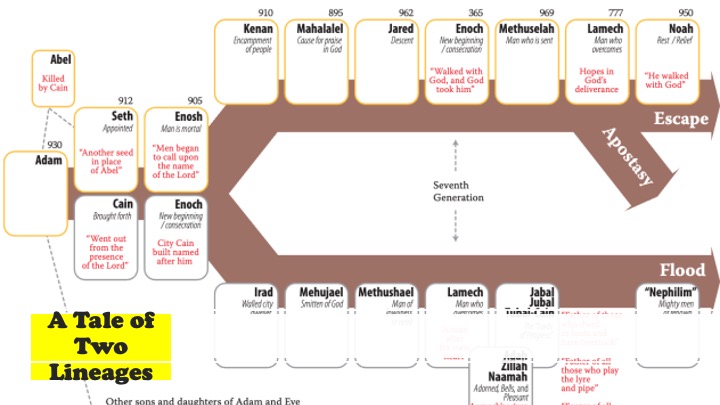 Episode 1085: A Tale of Two Lineages