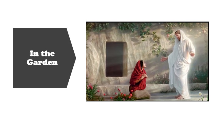 Episode 1186: In the Garden