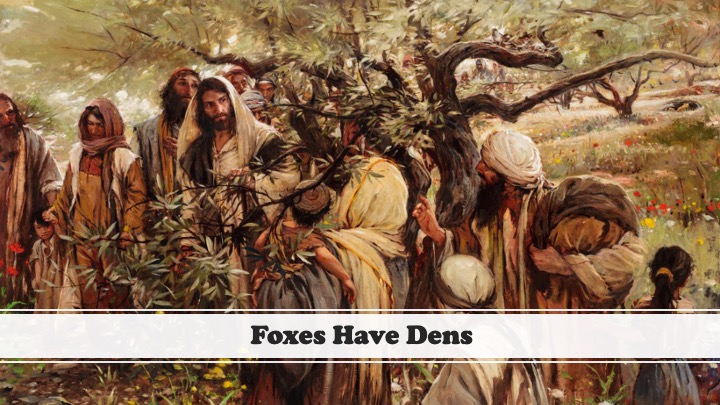 Episode 1228: Foxes Have Dens