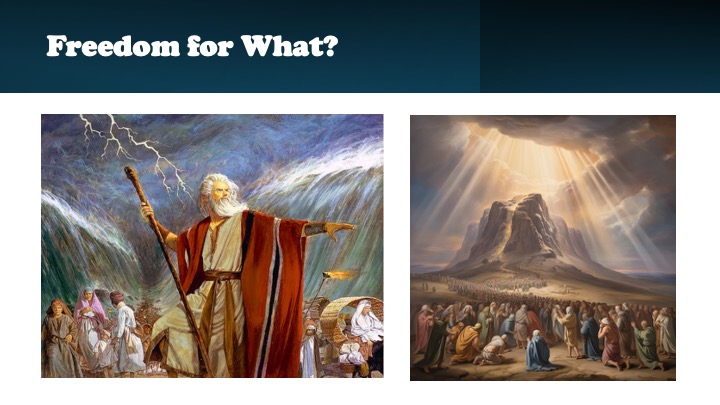 Episode 1328: Freedom for What?