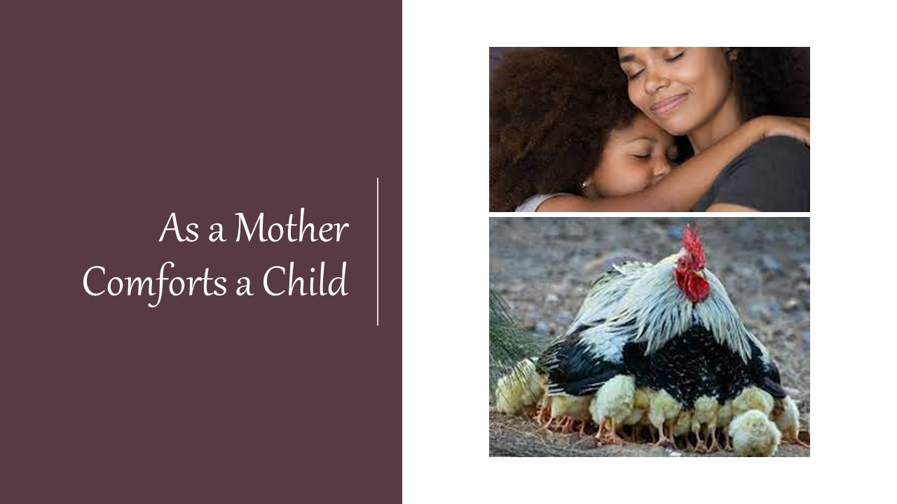 Episode 346: As a Mother Comforts a Child