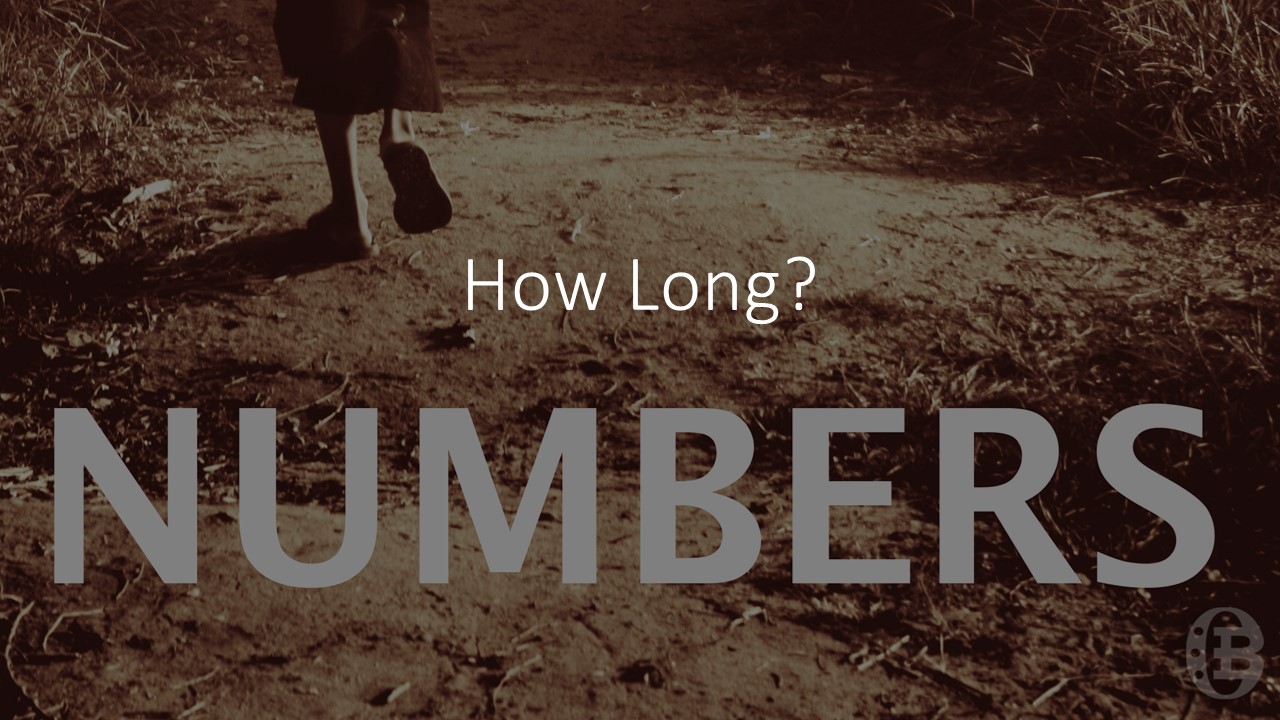 Episode 66: How Long? (Numbers)