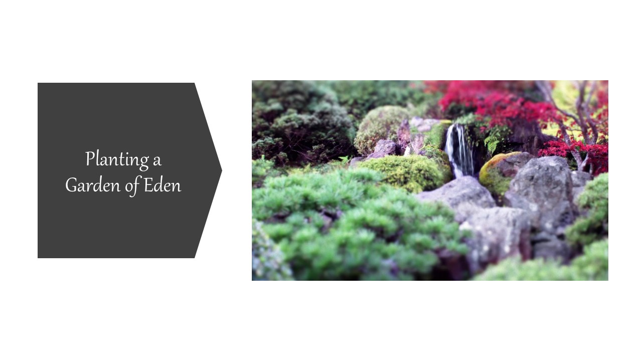 Episode 336: Planting a Garden of Eden