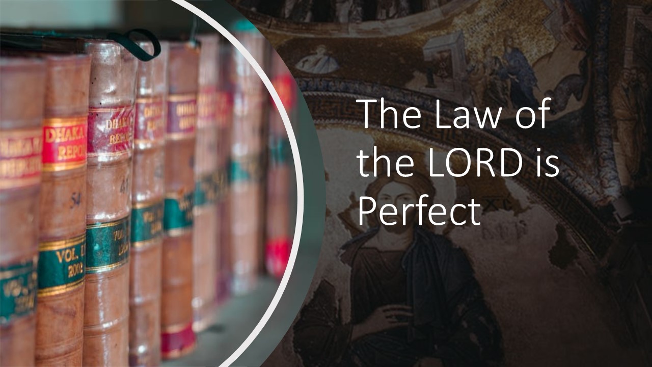 Episode 8: The Law of the Lord is Perfect