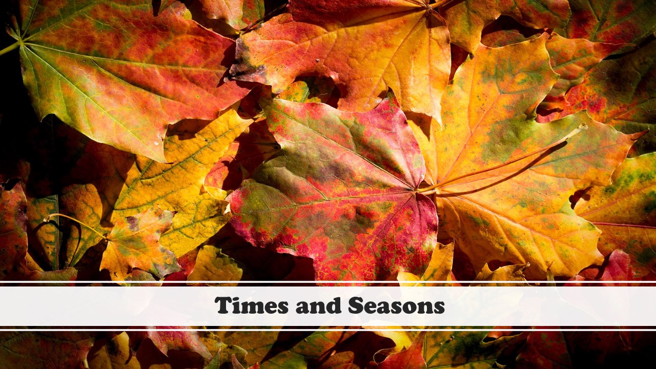 Episode 151: Times and Seasons