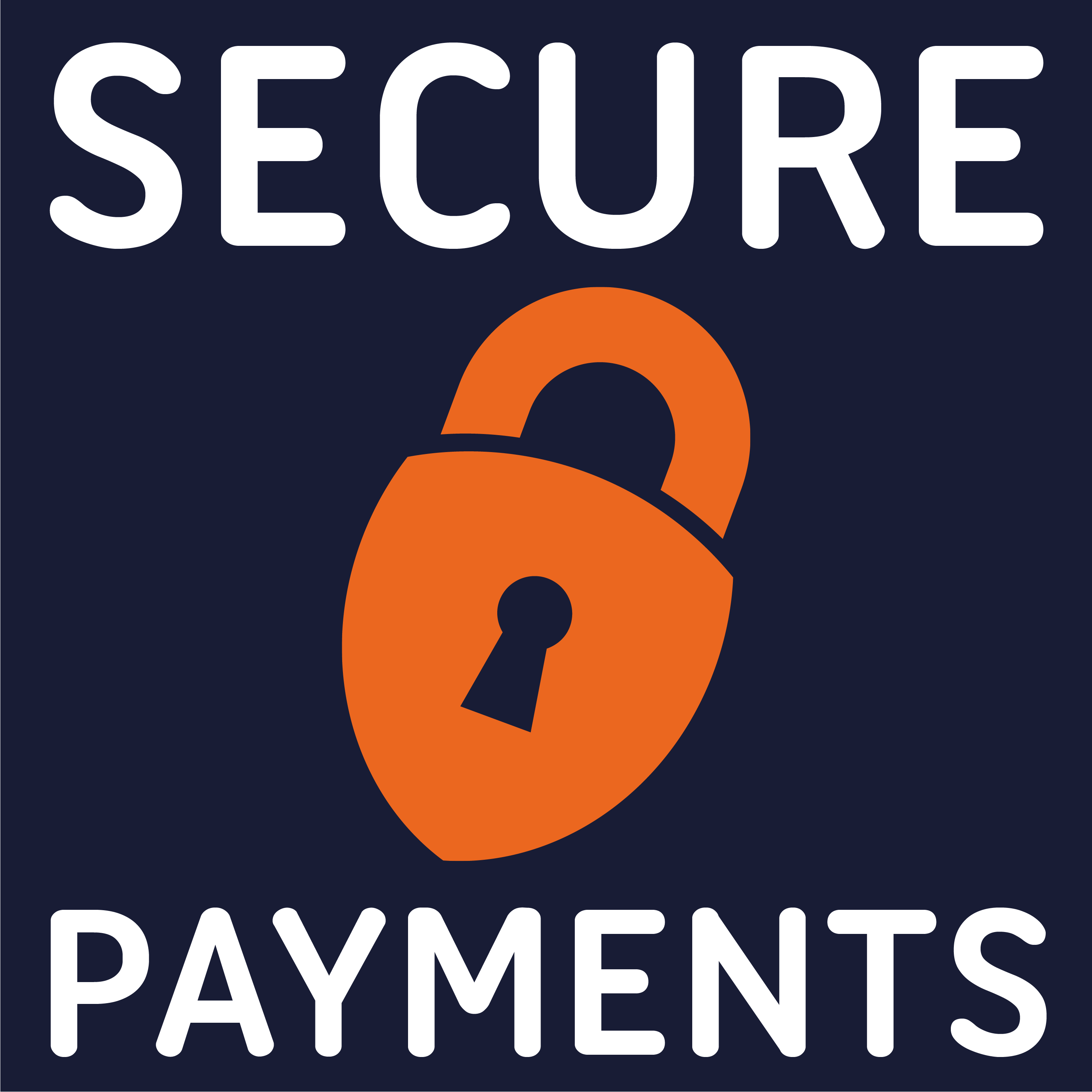 Payments: The Future of Security and CX