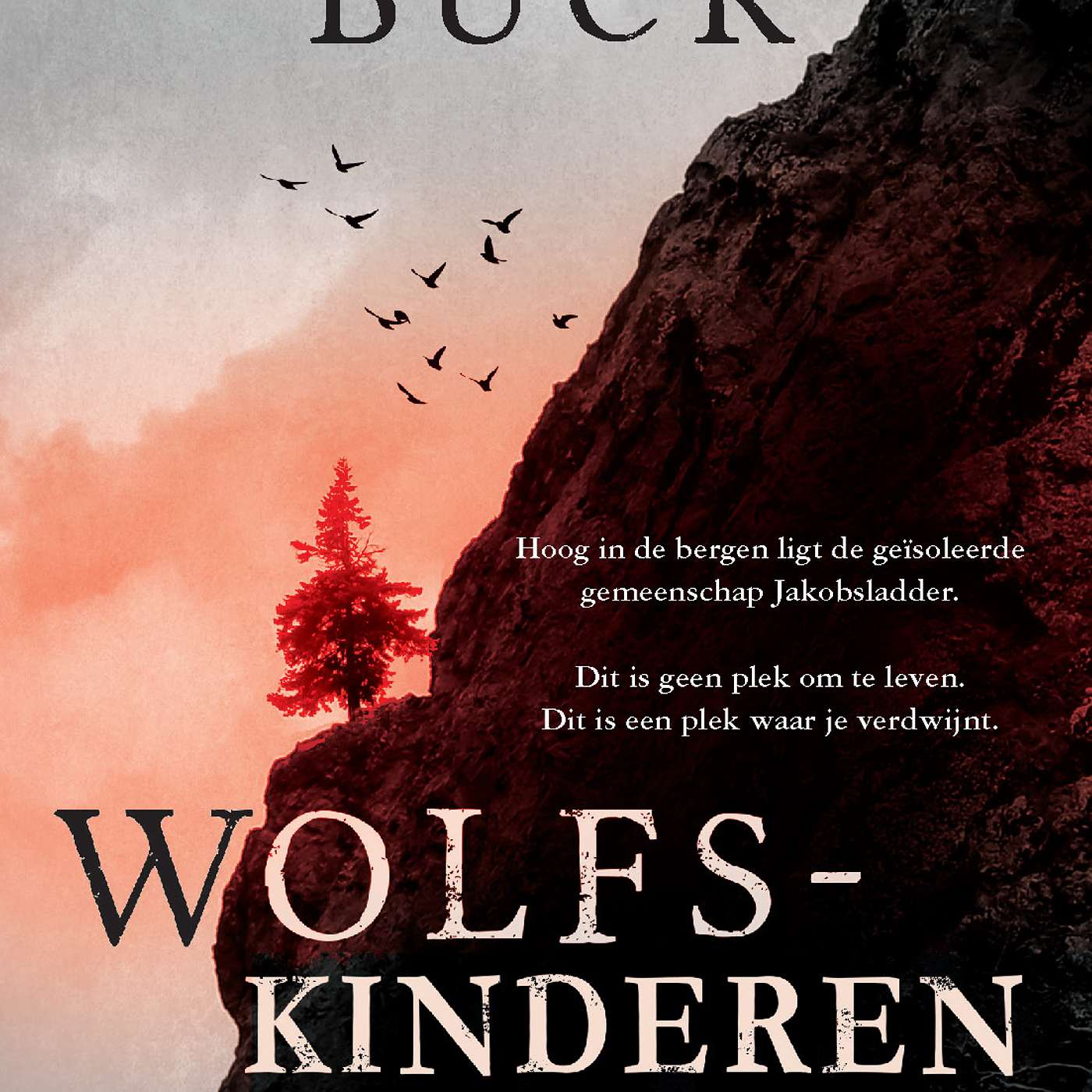 Episode Cover