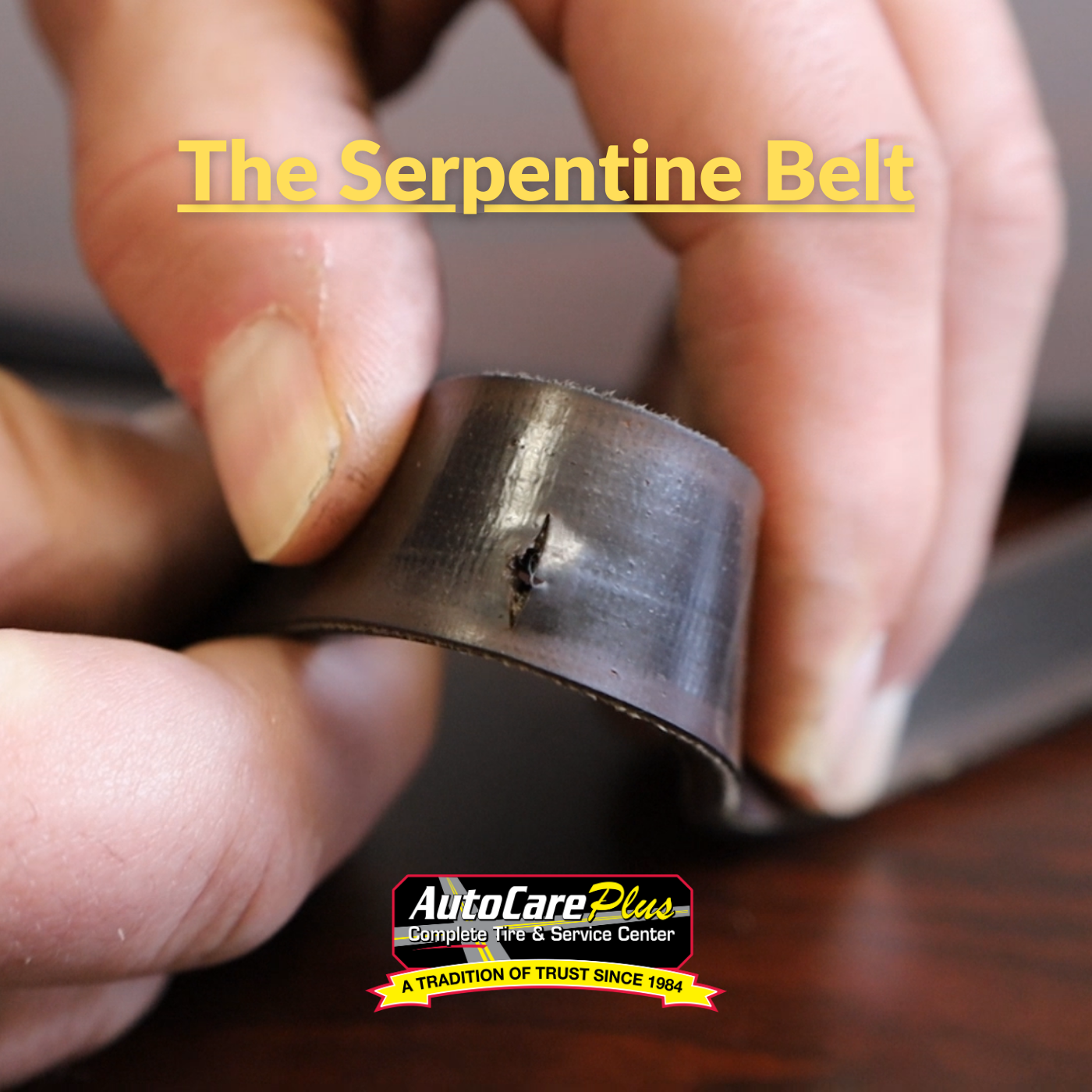 The One Component Under Your Hood That Powers Everything is your Serpentine Drive Belt