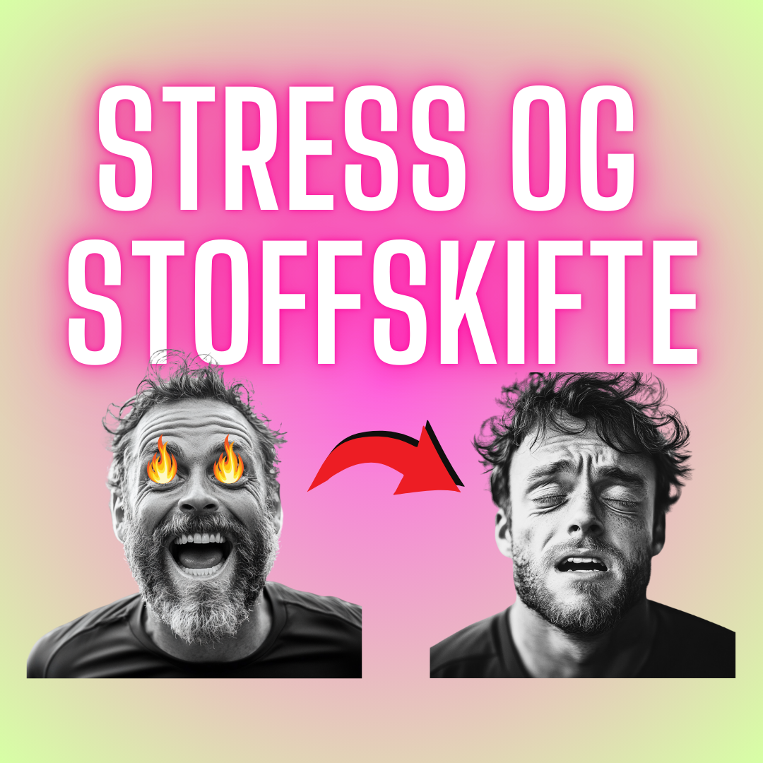 S2 Episode #7 - Hvorfor du IKKE vil være en Fettforbrenner (Del 1 - Stress, Stoffskifte og Blodsukker)