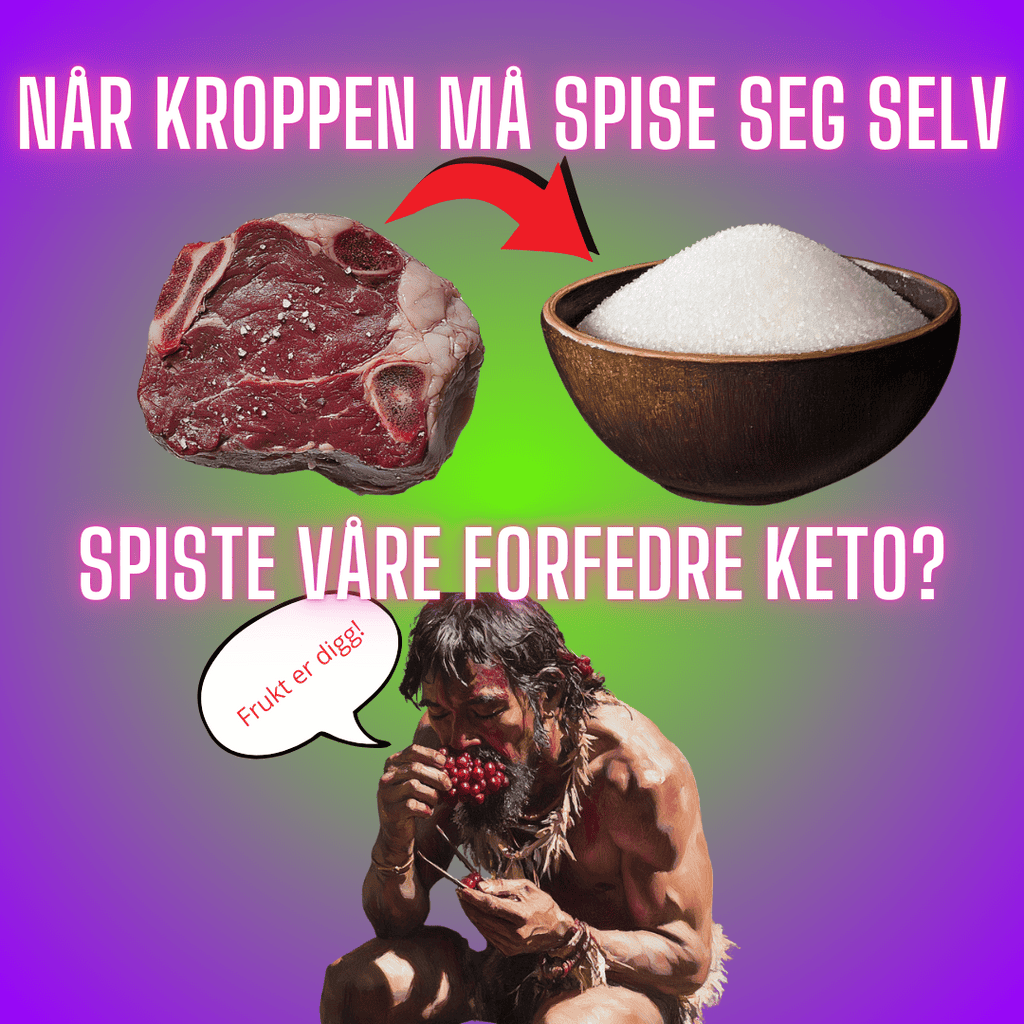 S2 Episode #10 - Hvorfor glukoneogenese er et problem / Spiste våre forfedre lavkarbo? (Hvorfor du IKKE vil være en Fettforbrenner - Del 4)