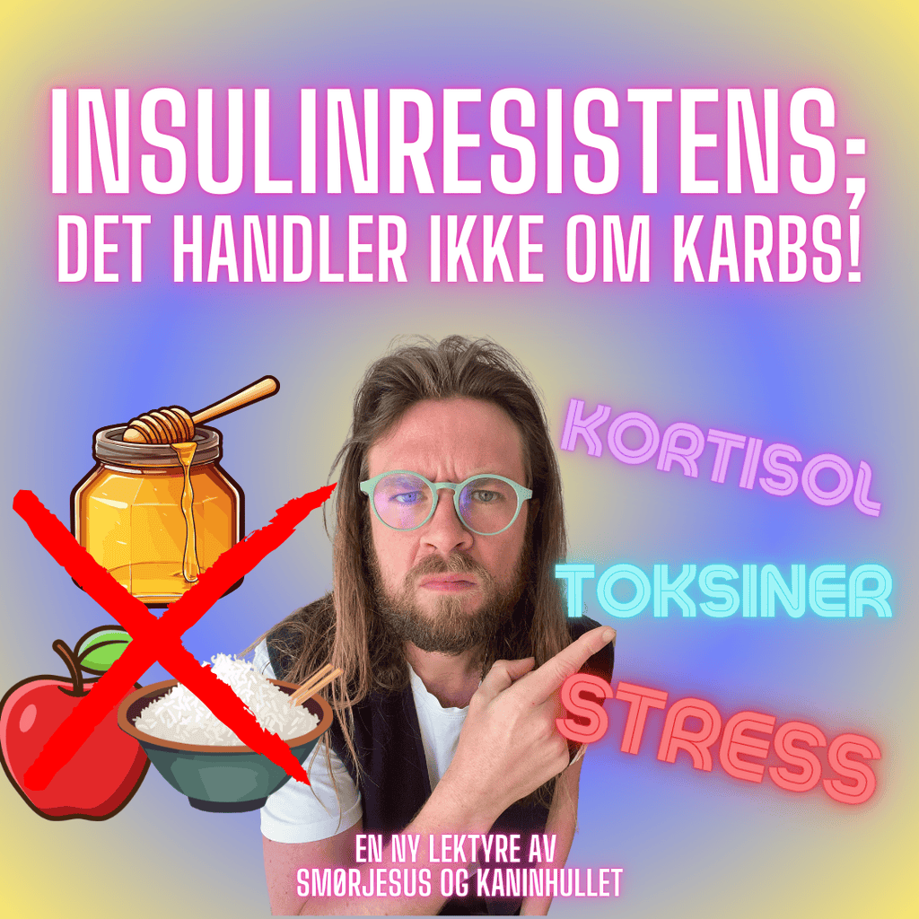 S2 Episode #11 - Insulinresistens forklart RIKTIG - Det handler ikke om sukker! / Fettforbrenning Del 6