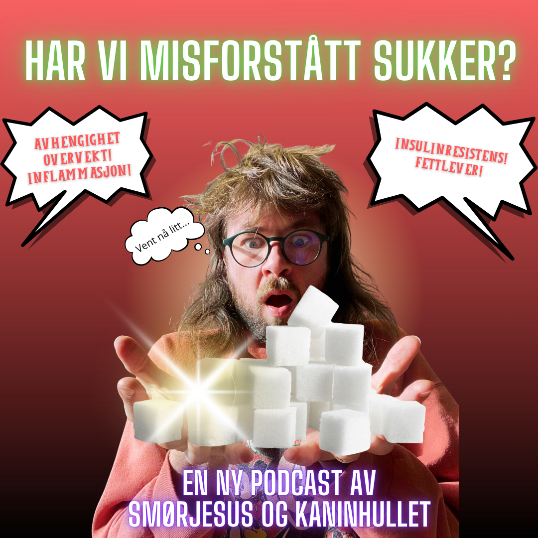 S2 Episode #13 - Har vi misforstått sukker? (del 1) - Når forskning på sukker feiltolkes – dose, design og kontekst