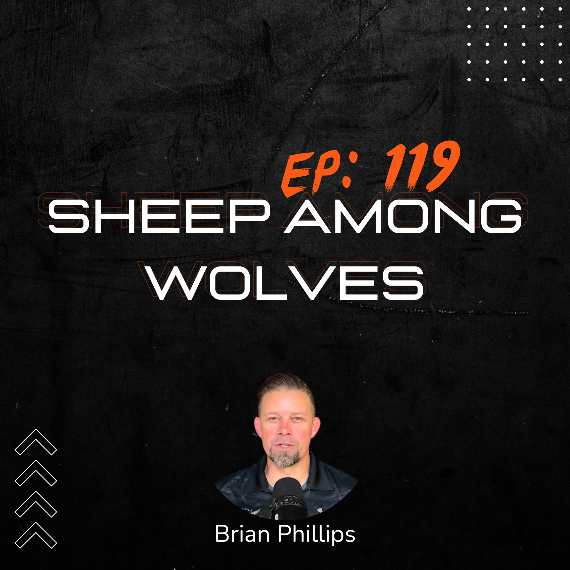 119: Sheep Among Wolves