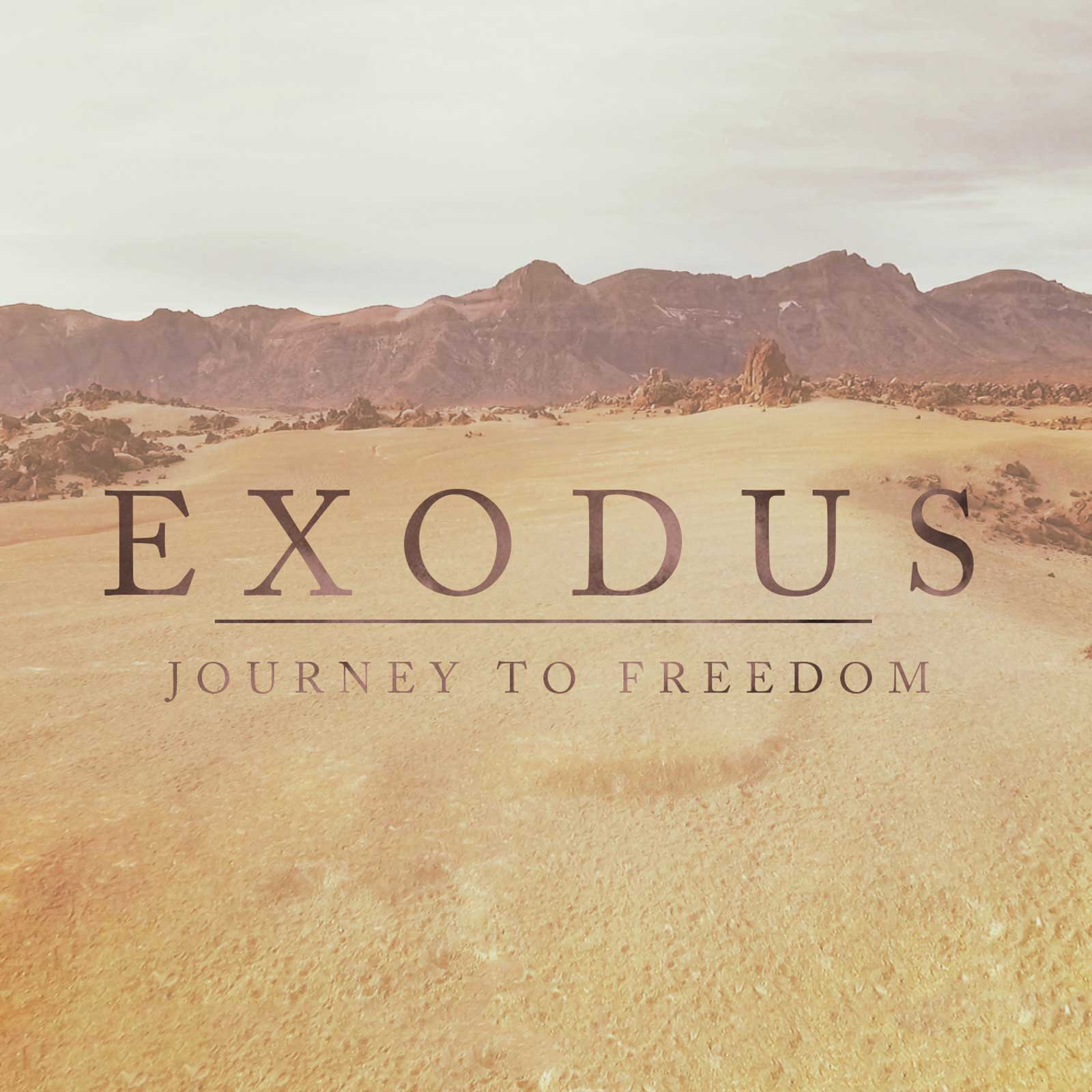 What to Bring to the Desert: Woter or the Word? Exodus 15:22-27 Devotion