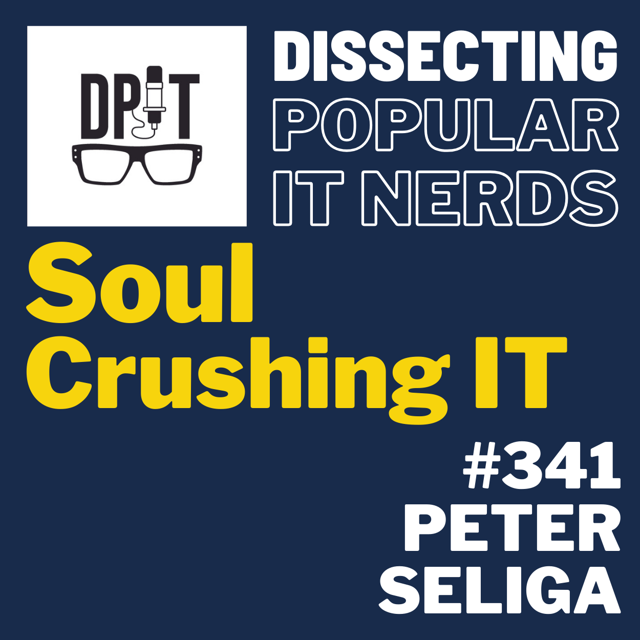 341- Transforming Soul Crushing IT into Inspiring Leadership by Peter Seliga episode artwork