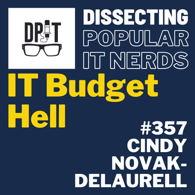 357- IT Budget Hell by Cindy Novak - DeLaurell