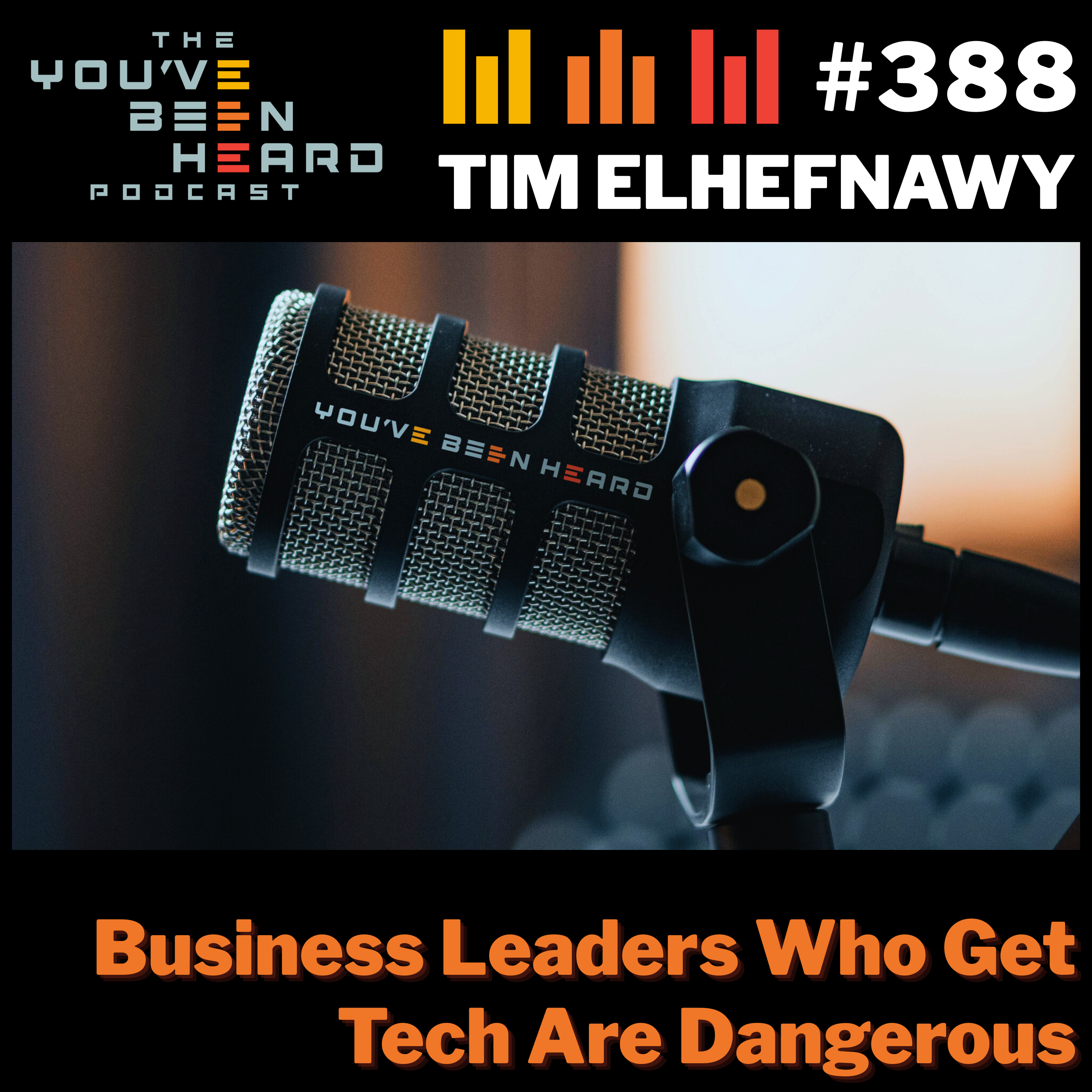 388- Business Leaders Who Get Tech Are Dangerous w/Tim Elhefnawy episode artwork