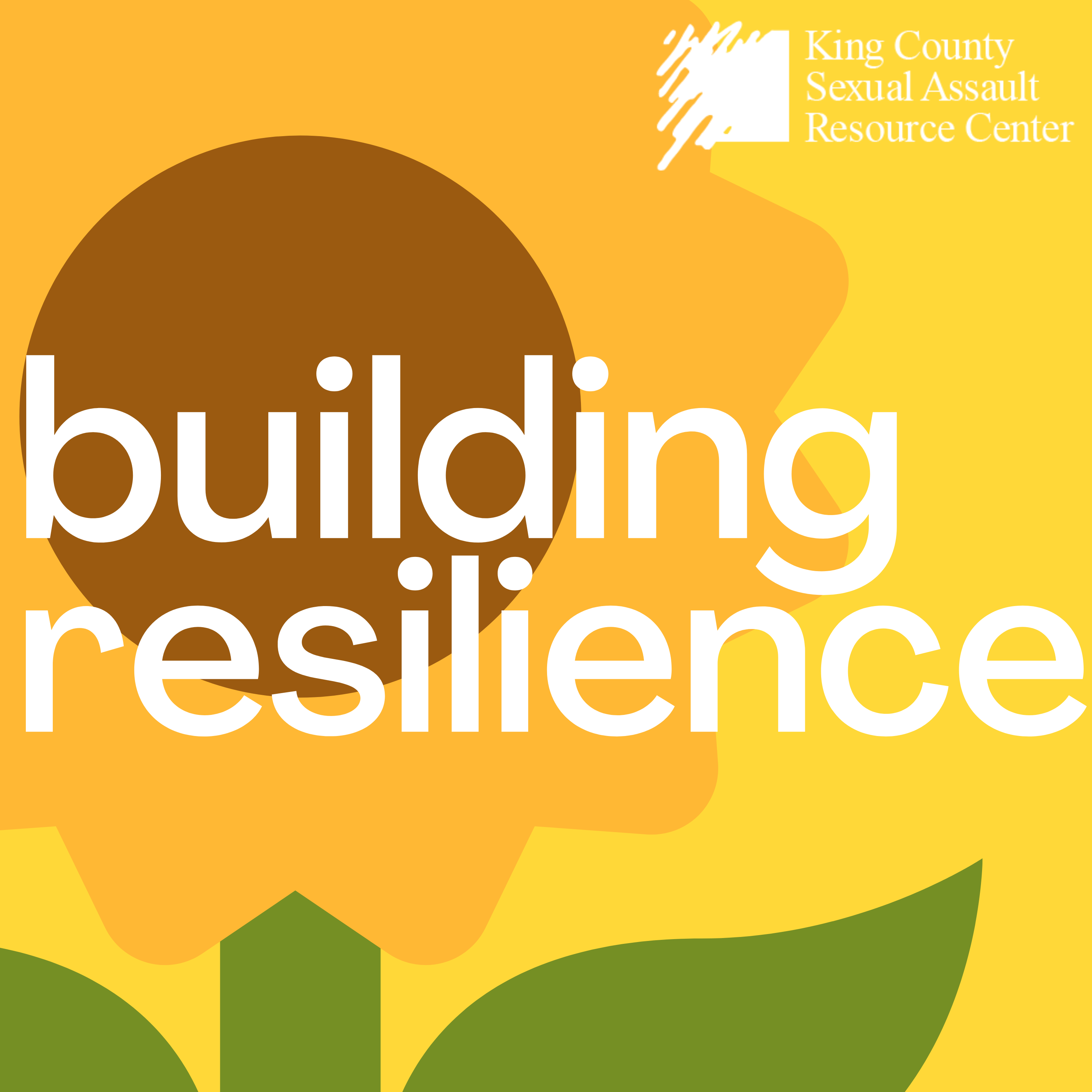 Introducing "Building Resilience"