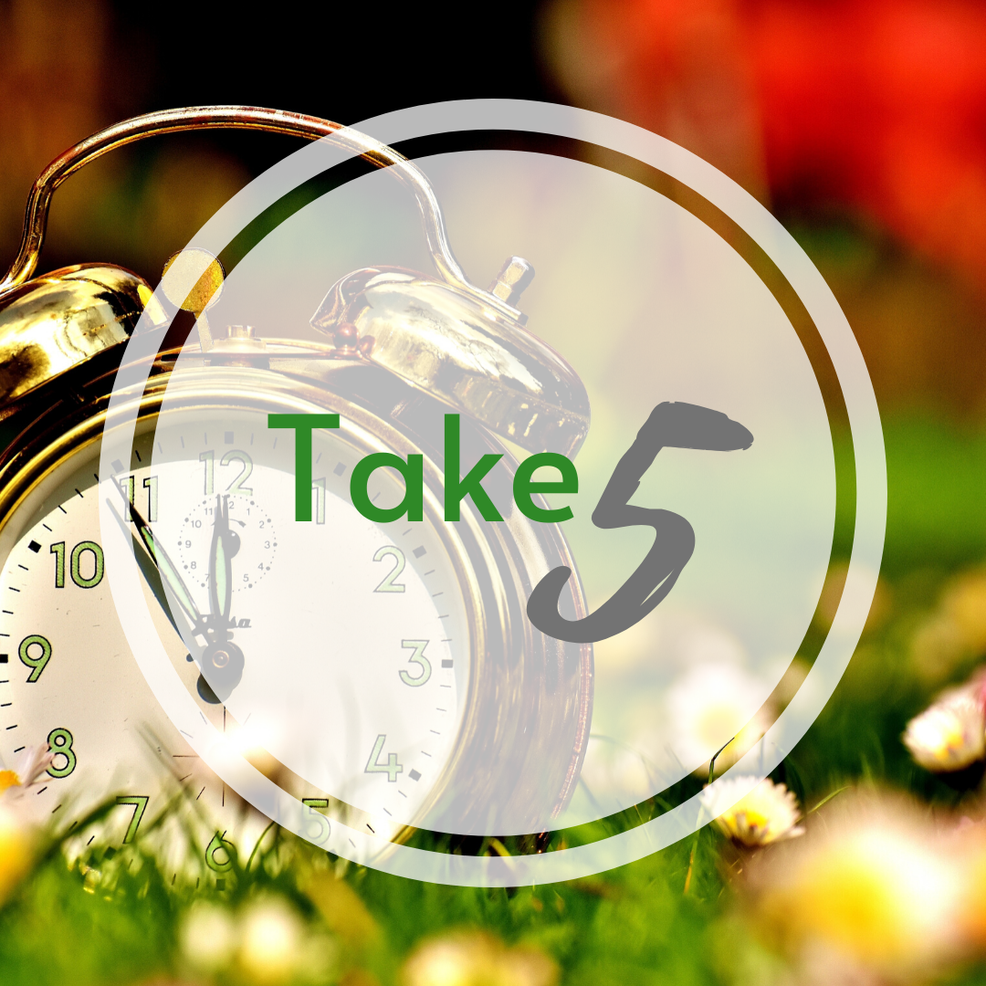 Take Five: Vilma Brager, Chief Operating Officer at Insight HR Consulting