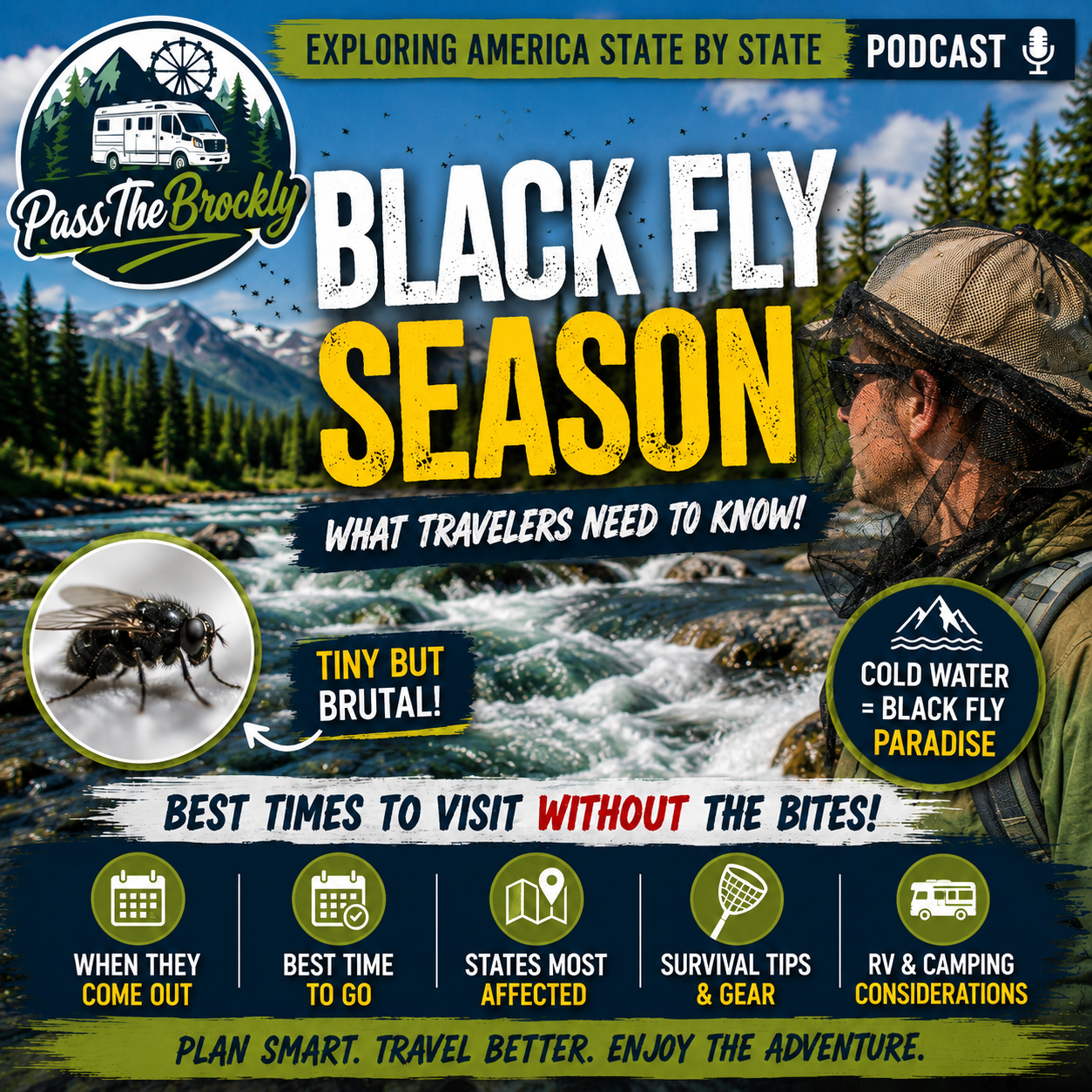 Black Fly Season | PassTheBrockly Travel Adventures